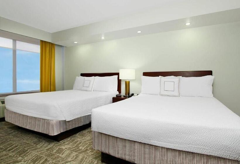 استودیو ساده, Springhill Suites Chesapeake Greenbrier