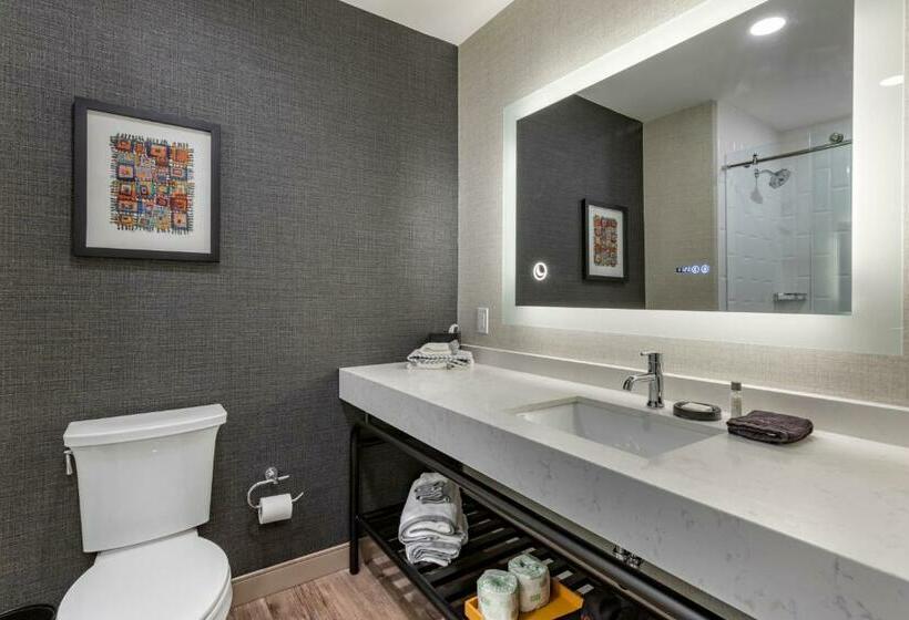 اتاق استاندارد با تخت بزرگ برای معلولان, Cambria Hotel Columbia Downtown The Vista