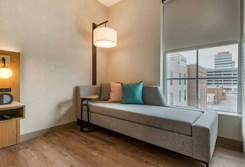 سوئیت با تخت بزرگ, Cambria Hotel Columbia Downtown The Vista
