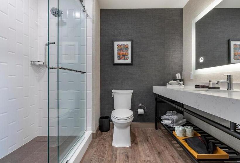 سوئیت برای معلولان, Cambria Hotel Columbia Downtown The Vista