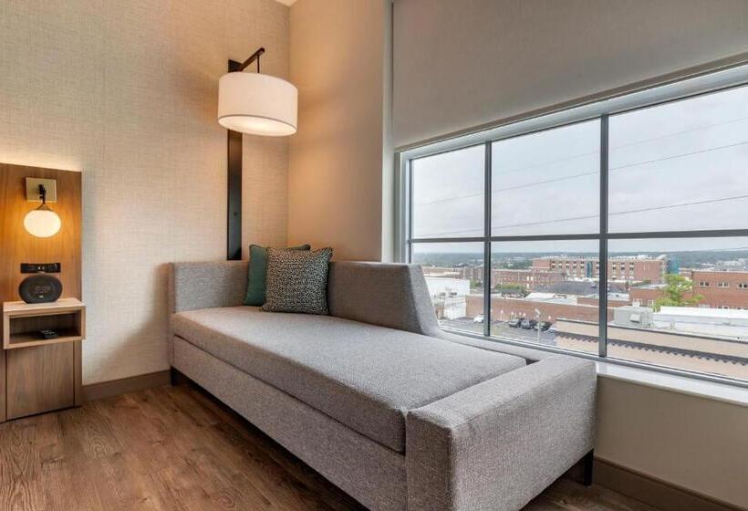 سوئیت برای معلولان, Cambria Hotel Columbia Downtown The Vista