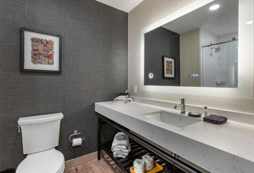 اتاق استاندارد با تخت بزرگ, Cambria Hotel Columbia Downtown The Vista