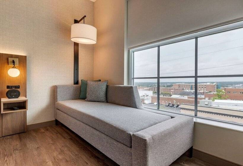 سوئیت برای معلولان, Cambria Hotel Columbia Downtown The Vista