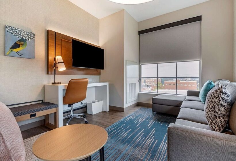 سوئیت برای معلولان, Cambria Hotel Columbia Downtown The Vista