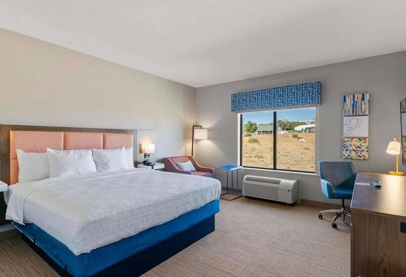 اتاق استاندارد با تخت دوبل, Hampton Inn Colorado Springs Northeast