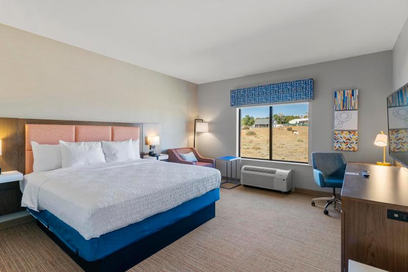 اتاق استاندارد با تخت بزرگ, Hampton Inn Colorado Springs Northeast