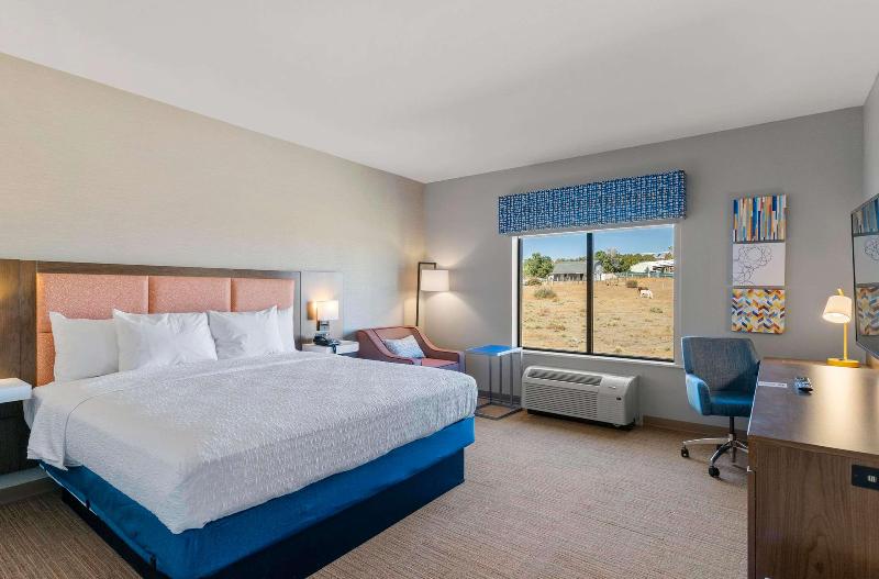 اتاق استاندارد با تخت بزرگ برای معلولان, Hampton Inn Colorado Springs Northeast