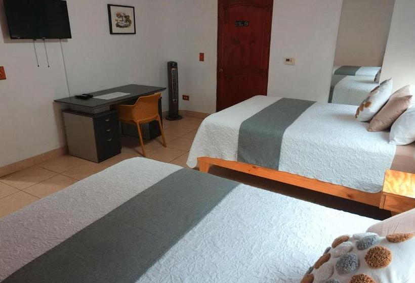 اتاق استاندارد, Trebol Amarillo Bed & Breakfast