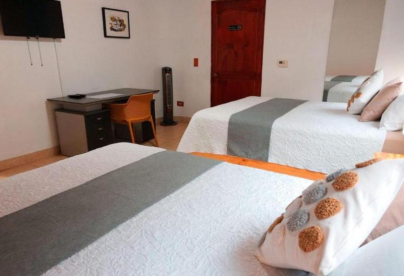 اتاق استاندارد, Trebol Amarillo Bed & Breakfast
