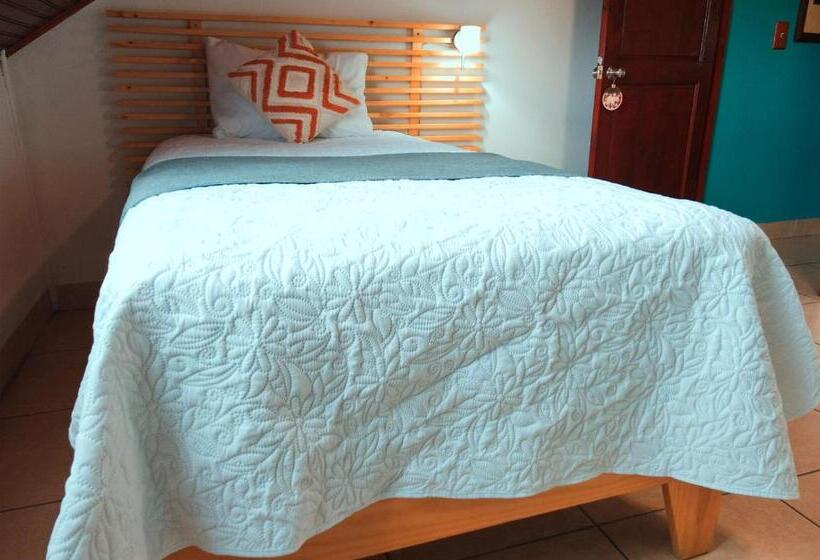 اتاق استاندارد یک نفره, Trebol Amarillo Bed & Breakfast