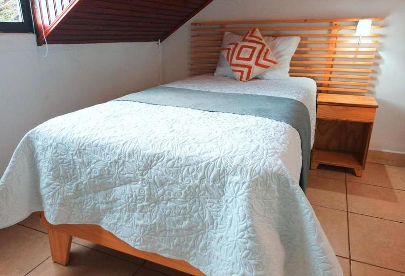 اتاق استاندارد یک نفره, Trebol Amarillo Bed & Breakfast