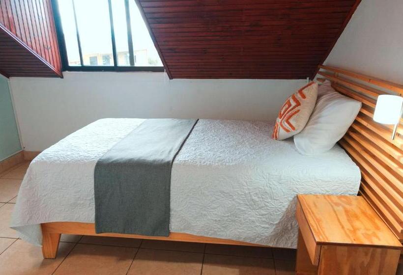 اتاق استاندارد یک نفره, Trebol Amarillo Bed & Breakfast