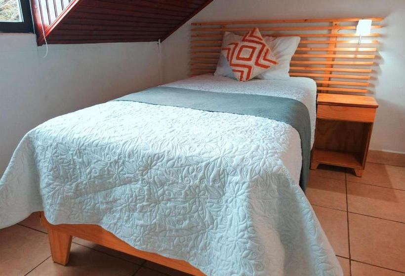 اتاق استاندارد یک نفره, Trebol Amarillo Bed & Breakfast