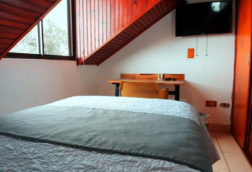 اتاق استاندارد یک تخته با سرویس بهداشتی مشترک, Trebol Amarillo Bed & Breakfast