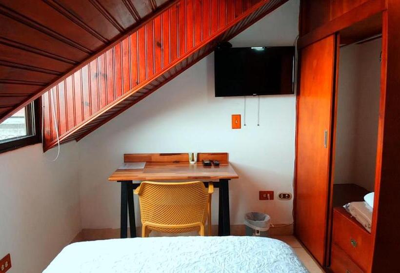 اتاق استاندارد یک تخته با سرویس بهداشتی مشترک, Trebol Amarillo Bed & Breakfast