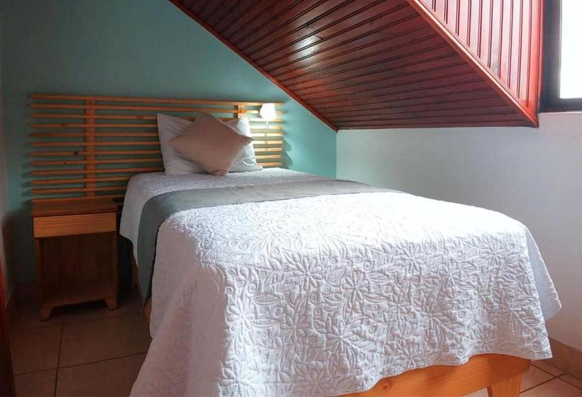 اتاق استاندارد یک تخته با سرویس بهداشتی مشترک, Trebol Amarillo Bed & Breakfast