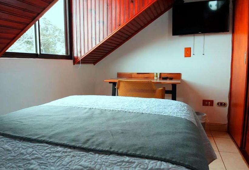 اتاق استاندارد یک تخته با سرویس بهداشتی مشترک, Trebol Amarillo Bed & Breakfast