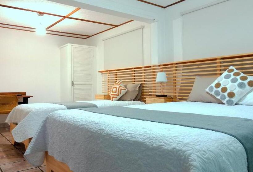 اتاق لوکس, Trebol Amarillo Bed & Breakfast