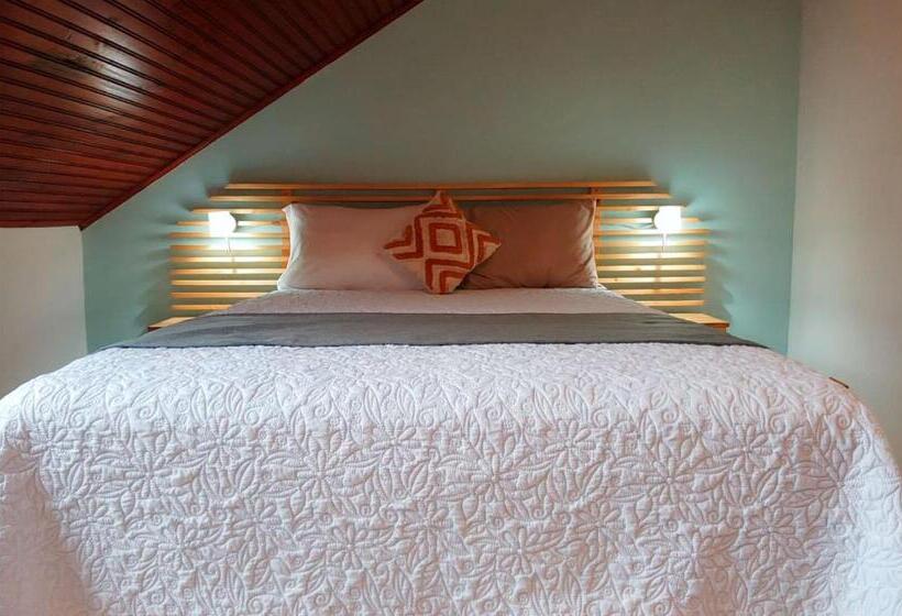اتاق استاندارد با سرویس بهداشتی مشترک, Trebol Amarillo Bed & Breakfast