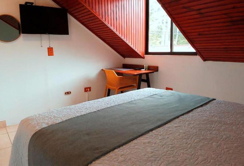 اتاق استاندارد با سرویس بهداشتی مشترک, Trebol Amarillo Bed & Breakfast