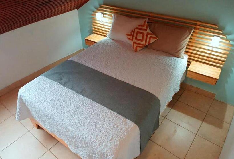 اتاق استاندارد با سرویس بهداشتی مشترک, Trebol Amarillo Bed & Breakfast