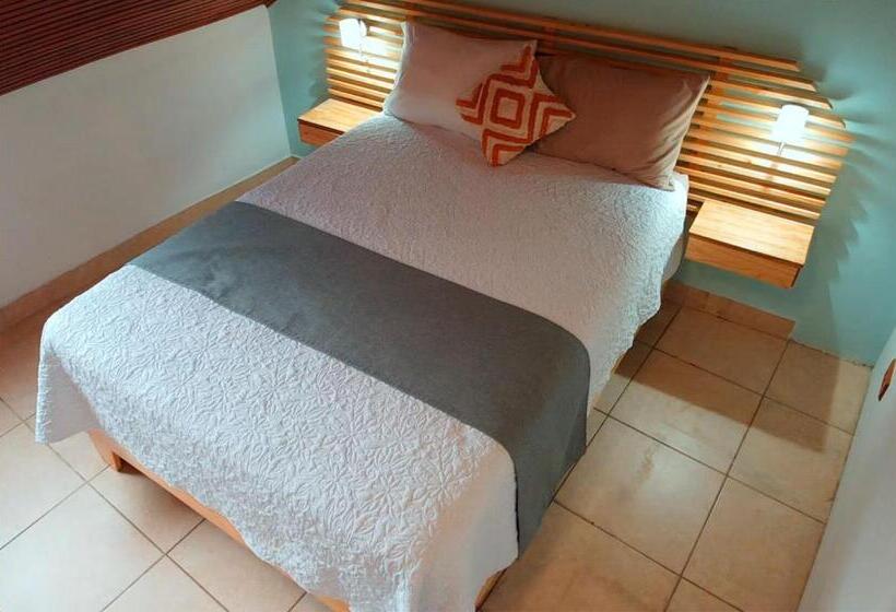 اتاق استاندارد با سرویس بهداشتی مشترک, Trebol Amarillo Bed & Breakfast