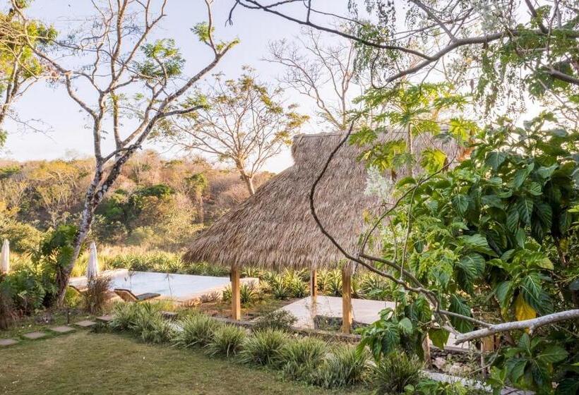 استودیو استاندارد با تراس, Thea Resort & Retreats   Santa Teresa