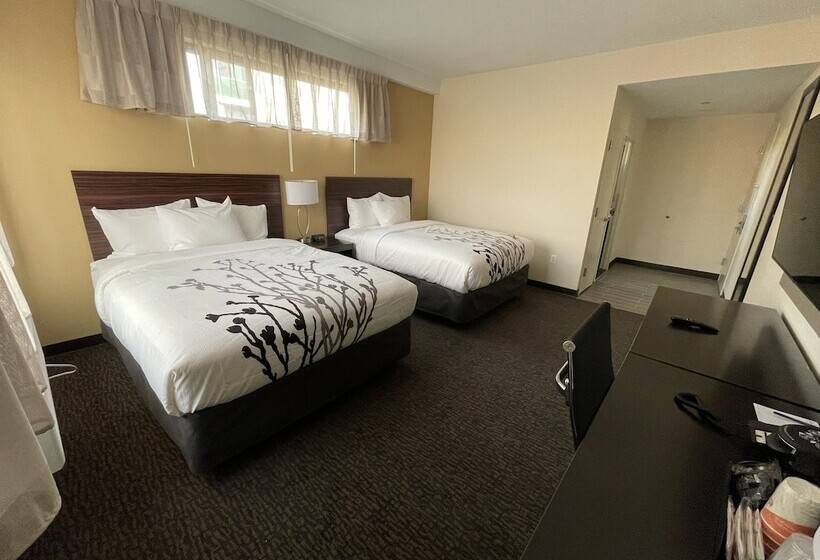 اتاق استاندارد با 2 تخت دوبل, Sleep Inn