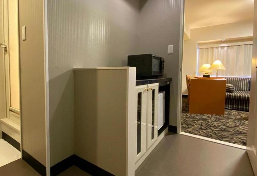 اتاق استاندارد سه نفره, Apa Hotel Kanazawa Katamachi Excellent