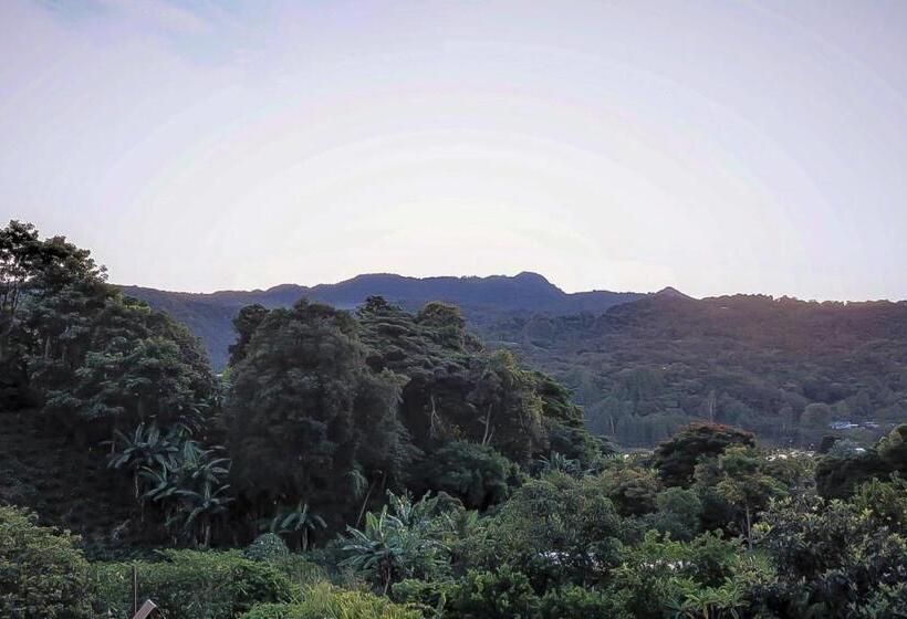 اتاق استاندارد با چشم‌انداز کوهستان, Valle Del Rio