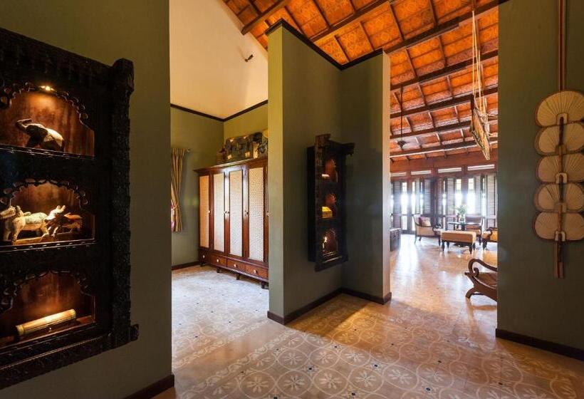Люкс, Reef Villa