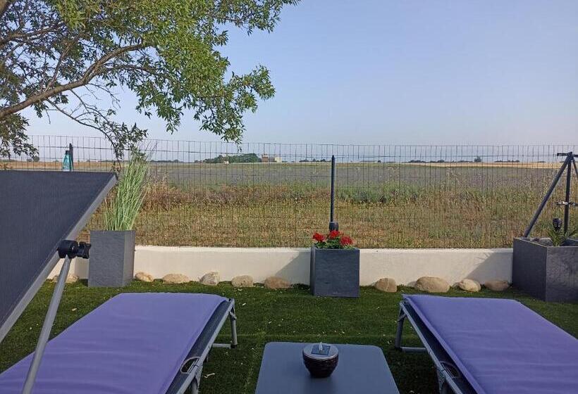 اتاق لوکس, Le Spa Des Lavandes