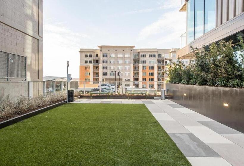 1 Bedroom Apartment Lake View, Upscale Rainey St Condo Homes   Peloton, Gym, Rooftop Pool, Wifi Included