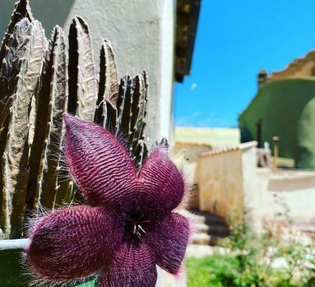共用房间的床, El Convento De Tilcara