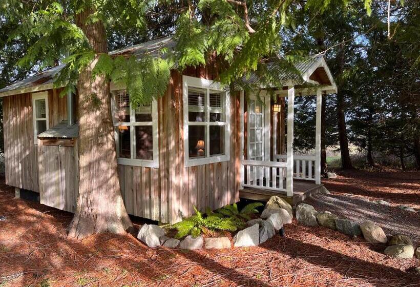سوییت لوکس, Lopez Farm Cottages & Tent Camping