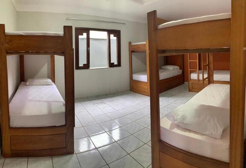 تختخواب در اتاق مشترک, Rio Claro Comfort Hostel E Suites