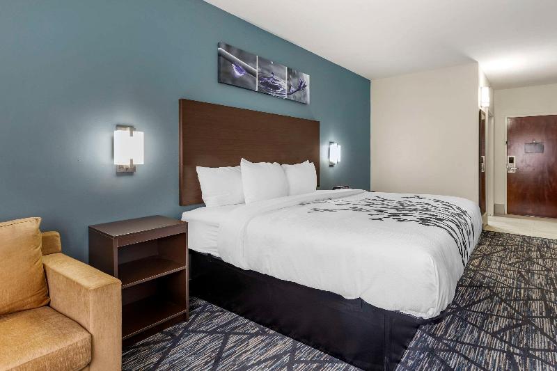 اتاق استاندارد با تخت بزرگ, Sleep Inn & Suites