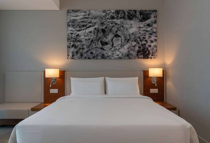 سوئیت مدیریتی 2 خوابه, Radisson Blu Hotel, Juba