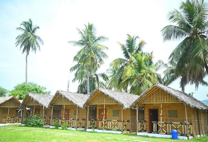 اتاق استاندارد, Coconut Tree Guest House