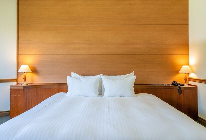 اتاق استاندارد, Sierra Resort Hakuba