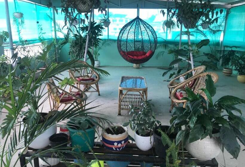 اتاق اکونومی, 9backpackers