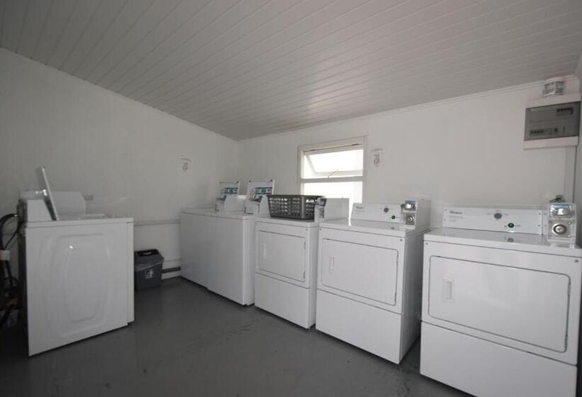 آپارتمان 1 خوابه با چشم‌انداز استخر, Arena Condos Aruba   Few Steps From Eagle Beach!
