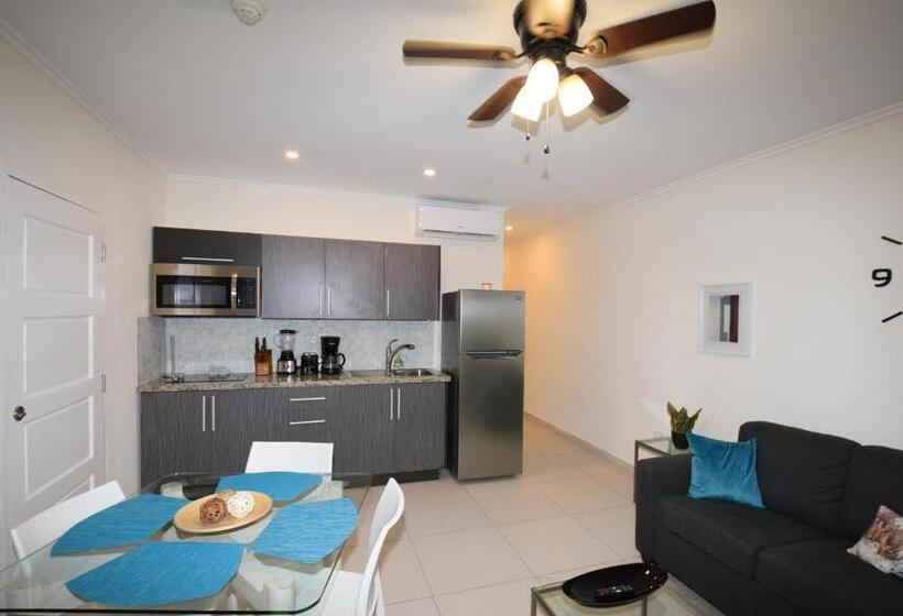 آپارتمان 1 خوابه با چشم‌انداز استخر, Arena Condos Aruba   Few Steps From Eagle Beach!
