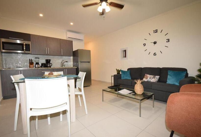 آپارتمان 1 خوابه با چشم‌انداز استخر, Arena Condos Aruba   Few Steps From Eagle Beach!