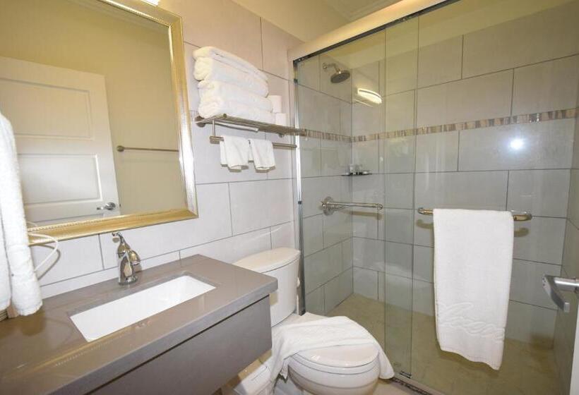آپارتمان 1 خوابه با چشم‌انداز استخر, Arena Condos Aruba   Few Steps From Eagle Beach!
