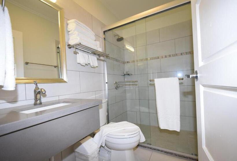 آپارتمان 1 خوابه با چشم‌انداز استخر, Arena Condos Aruba   Few Steps From Eagle Beach!