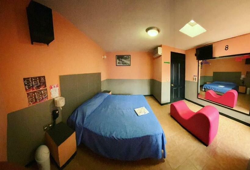 اتاق اکونومی, Motel Flamingos