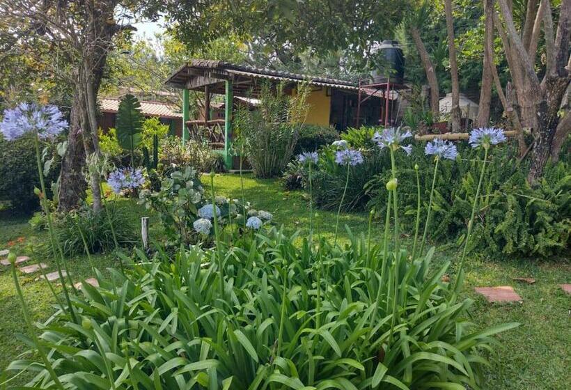 اتاق سوپریور خانوادگی, Hostal Cabañas Ave Maria