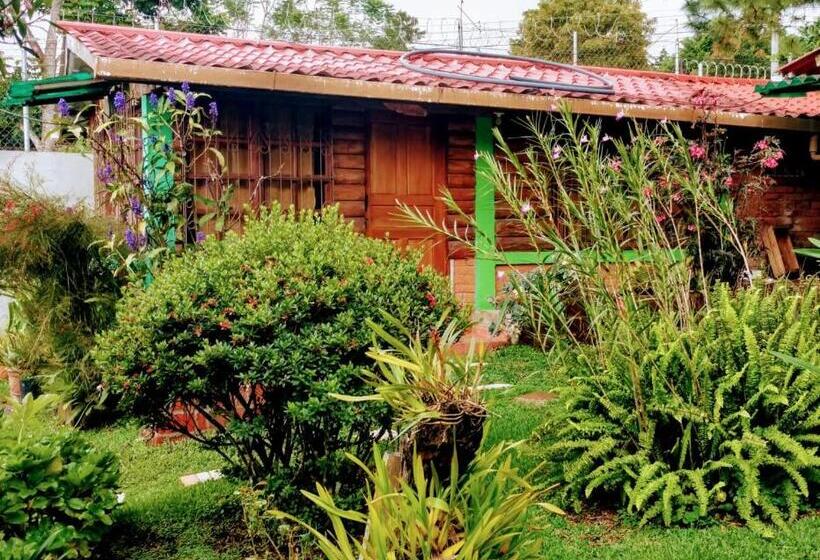 اتاق سوپریور خانوادگی, Hostal Cabañas Ave Maria