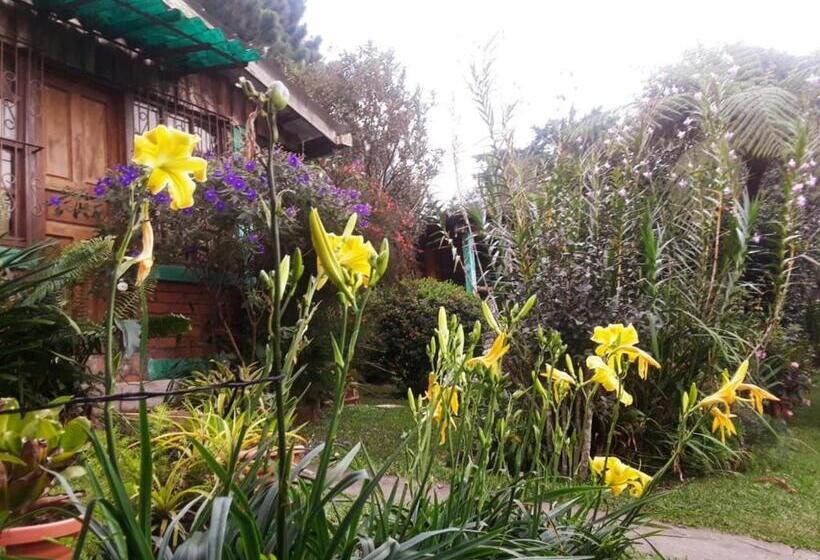 اتاق سوپریور خانوادگی, Hostal Cabañas Ave Maria